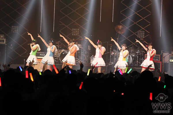 影山ヒロノブ、中川翔子、A応Pらが登場！『LIVE A² 2016 -アニぱら音楽館×A-POP PLUS-』がJ:COMで放送！