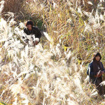 4/23より絶賛公開中！神木隆之介 出演 映画『太陽』の劇中写真を公開！