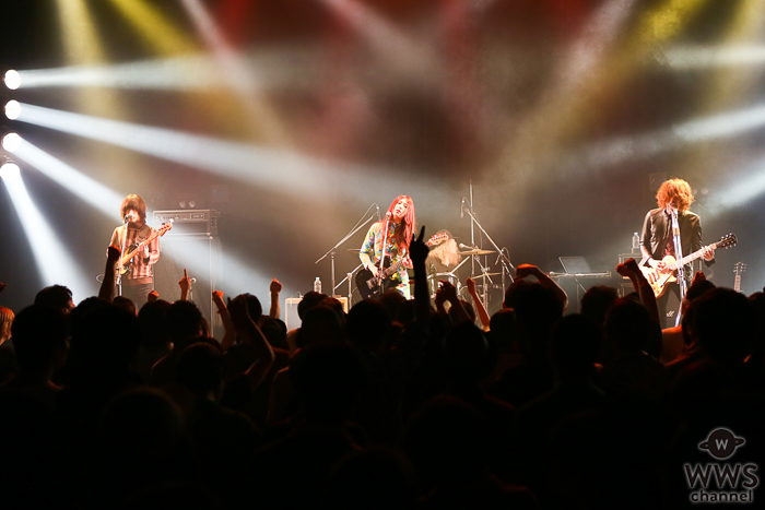 【ライブレポート】GLIM SPANKYがYATSUIフェスで映画「ONE PIECE」主題歌『怒りをくれよ』などを披露！