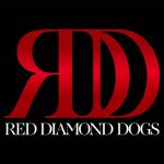 EXILE ATSUSHIが結成した新バンド「RED DIAMOND DOGS」初の撮りおろしミュージック・ビデオが遂に解禁！等身大のATSUSHIに大注目！！