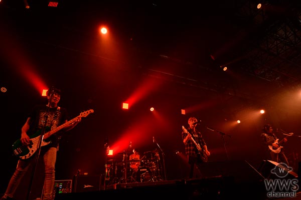 TOTALFATがCOUNTDOWN JAPAN 16/17で魅せつける！フロアと作り上げる最高のお祭り騒ぎが今始まる！
