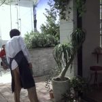 山﨑賢人がベジタブルスムージーバーのさわやかなマスター役でCM出演決定！「おしゃれなお店の中でとても楽しく演じることができました」