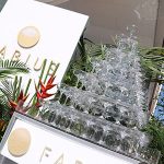 バーレスク東京ダンサー がSEXYすぎる水着でライブパフォーマンス！『FABIUS present Sumer Night Pool Party 2017 〜史上最強の夏祭り〜』