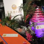 バーレスク東京ダンサー がSEXYすぎる水着でライブパフォーマンス！『FABIUS present Sumer Night Pool Party 2017 〜史上最強の夏祭り〜』