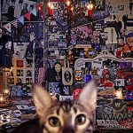 BUCK-TICKの魅力に迫る！ デビュー30周年WOWOWスペシャル特番、9月16日に放送決定！！ライブ映像や最新のメンバーインタビューあり