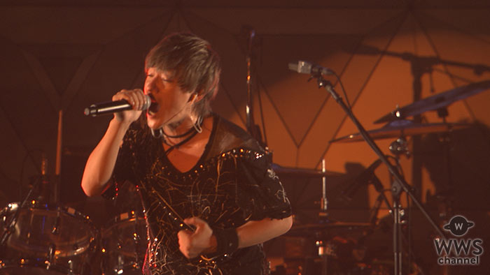 【動画】SPYAIRがRockCorps2017で新曲『MIDNIGHT』を披露！