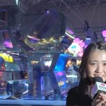 【動画】 国内最大の年越しフェスCOUNTDOWN JAPAN 17/18 初日を夏生のん(さくらシンデレラ)がレポート！！初日は47,000人が熱狂！