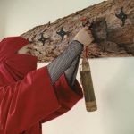 ハウスメイトで 指原莉乃が忍者ファミリーのお部屋探しをお手伝い! 新TVCM「服部さん内見の巻」篇 1月11日(木)より放送開始！