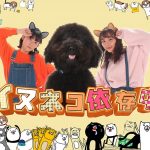 内田理央と福田彩乃が動物に変身！？Amazonプライム・ビデオにどうぶつバラエティー番組が初登場！！ ２月２３日より独占配信スタート！！