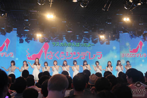 【ライブレポート】さくらシンデレラがニコファーレ2周年記念で新曲『さくらヒラヒラ』を披露！150(イチゴゼロ)、24 o'clock 、4U(フォーユー)がニコファーレに初登場