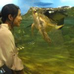 【動画】＜後編＞長崎出身の美女・山下由奈が房総半島バスツアーをレポート！鴨川シーワールドをご紹介！