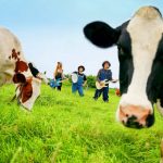 四星球 「平成30年度 四星中学校文化祭」 第一弾ゲストアーティスト発表！ さらに無料エリアの設置も決定！