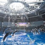 リトグリ 3年連続アクアパーク品川とコラボ！今年はいきものがかり水野良樹×気鋭の詩人最果タヒ曲で魅せる！