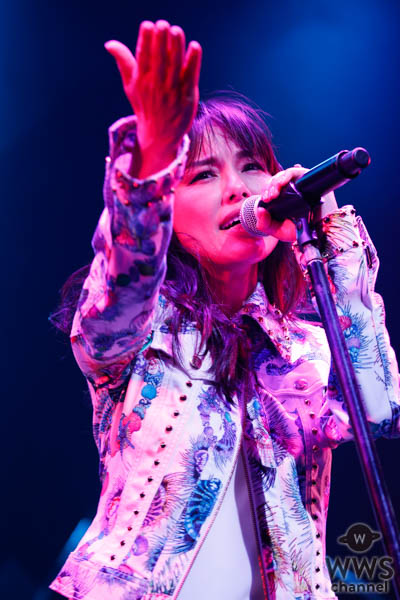 相川七瀬の毎年恒例“七瀬の日”ライブ、お祭り騒ぎの熱狂！アルカラ稲村太佑もサプライズ参加