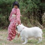 福田組の仲間入り！？ドラマ「銀魂２」に乃木坂46若月佑美が町娘役で出演！！