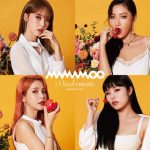 MAMAMOO、日本初コンサートツアー会場でのハイタッチ会実施が決定！