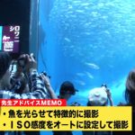 SKE48高柳明音・わーすた廣川廣川奈々がまさかの塩対応！avex写真部の横浜・八景島シーパラダイス編が公開中！