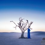 藍井エイル、新曲「アイリス」が予告なしのサプライズ配信スタート！