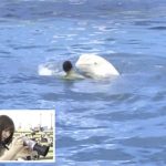 バトル勃発！？Da-iCE工藤・和田の写真部“いいね”争奪戦！