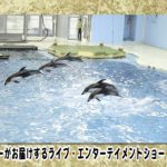 バトル勃発！？Da-iCE工藤・和田の写真部“いいね”争奪戦！