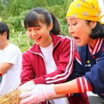 NGT48が新潟の大先輩・小林幸子の誘いを受け 「小林幸子田」で脱穀のお手伝い！！