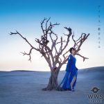 藍井エイル、新曲「アイリス」が予告なしのサプライズ配信スタート！