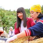 NGT48が新潟の大先輩・小林幸子の誘いを受け 「小林幸子田」で脱穀のお手伝い！！