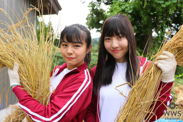 NGT48が新潟の大先輩・小林幸子の誘いを受け 「小林幸子田」で脱穀のお手伝い！！