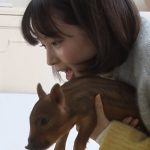 【動画】広瀬すずが亥(いのしし)の赤ちゃんと戯れる姿が可愛すぎる！ YouTuber 役を演じるCMメイキング公開！