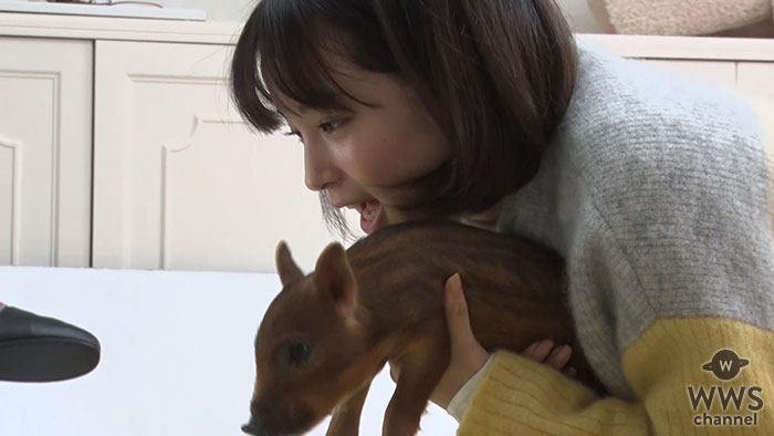 【動画】広瀬すずが亥(いのしし)の赤ちゃんと戯れる姿が可愛すぎる！ YouTuber 役を演じるCMメイキング公開！