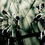 ラストアイドルの5thシングル『愛しか武器がない』、 史上最高にクールな ミュージックビデオが公開！