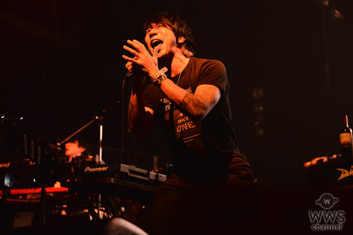 【ライブレポート】the HIATUSがCOUNTDOWN JAPAN 18/19（カウントダウン・ジャパン）で熱演！ファン感涙のセットリストで魅せる！＜CDJ1819＞