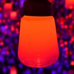 来場者数100万人突破！チームラボの冬限定作品がお台場に登場！