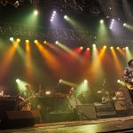 のんと仲井戸麗市がバレンタインデーに川崎・クラブチッタで競演！