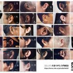 “33 人”のアーティストの“耳だけ”のグラフィックを“耳の日 （3月3日）”より公開！