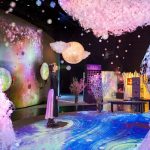 高身長イケメンSOLIDEMOがインスタ映えアート展で花贈りプレミアムイベント開催！