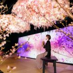 高身長イケメンSOLIDEMOがインスタ映えアート展で花贈りプレミアムイベント開催！