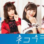 AKB48 Team 8、ナナランド、マジパンら13組、『TOKYO IDOL FESTIVAL 2019(TIF2019)』第2弾出演発表!!