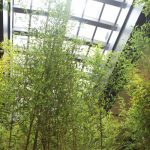 大正ロマン溢れる「京都 悠洛ホテル M ギャラリー」が4月26日京都・三条にオープン!自然光が降り注ぐ吹き抜け空間に圧倒される!