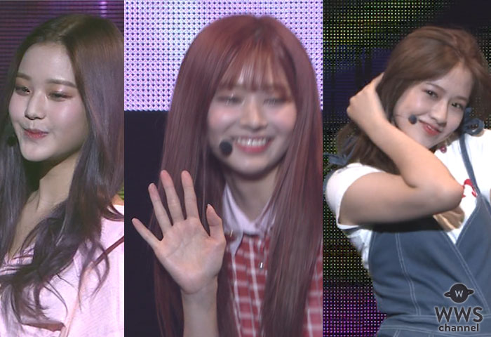 【動画】IZ*ONE（アイズワン）が武道館で華やかなモデルウォーキング！