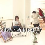 日向坂46、2ndシングル『ドレミソラシド』特典映像が公開!