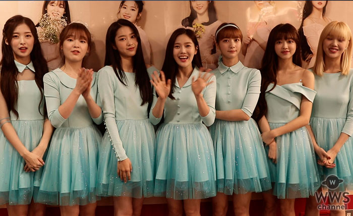 【動画】 K-POPグループ・OH MY GIRLが渋谷タワレコにサプライズ来店！