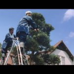 有村架純と浜辺美波、話題の“姉妹役”CMの新作公開！2人の距離も急接近！？