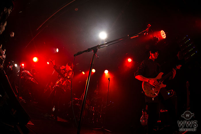 WANDS、倍率25倍超えのプレミアムライブを東京・大阪で開催！ 5月の新曲リリースも発表！