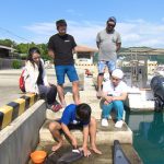 ますだおかだが引越しを通して人々の人生に触れる。「依頼人たちに勇気づけられました」