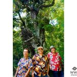 30周年を迎えるBEGIN、3月21日に生配信ライブ決定！