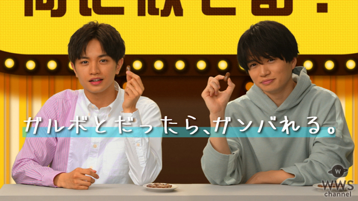Sexy Zone 中島健人、菊池風磨が明治「ガルボ」WEB動画で珍回答を連発！