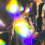 さくらしめじが高校卒業ライブを無観客で開催「照れくさいけど僕らは最高さ！」