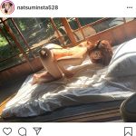 平嶋夏海、曲線美スタイルのグラビアオフショットを公開！「めっちゃいい」「女豹っぽい」