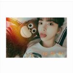 乃木坂46 堀未央奈、インスタフォロワーが24万人超え！「おめでとう」「これからも投稿楽しみにしてます」